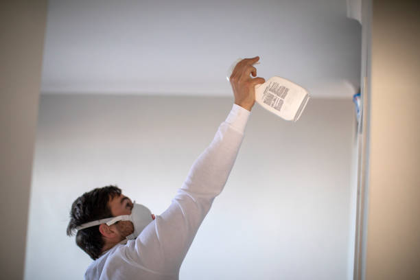 Best Best Mold Removal Companies  in Mathis, TX