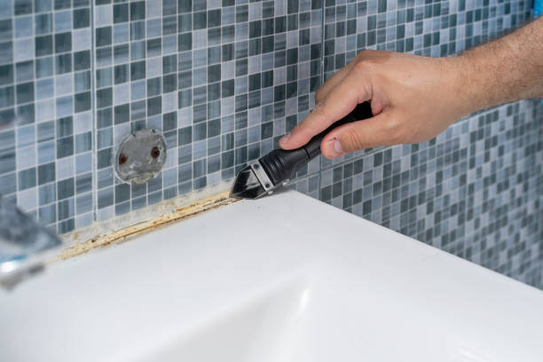 Best Emergency Mold Removal  in Mathis, TX